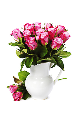 포토 JPG 해외이미지 잎 실내 사람없음 장미 꽃병 흰배경 담기 해외202004 해외포토 식물 꽃 백그라운드 모션 내부 흰색 파일형식