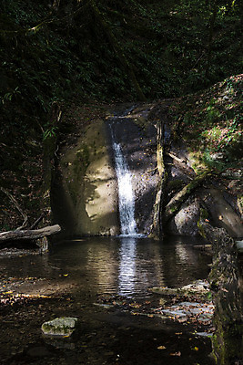 포토 JPG 해외이미지 계절 공원 호수 여행 백그라운드 자연 산 이끼 풍경 사람없음 야외 목재 초록색 물 여름 강 환경 골짜기 폭포 젖음 흐름 가을 바위 신선 도시 개울 숲 시원함 러시아 지역 내추럴 러시아인 전국 진짜 해외202004 해외202105 해외포토 자연요소 서양인 나무 공공시설 유럽 컬러 컨셉 재료 돌_바위 생태계 파일형식