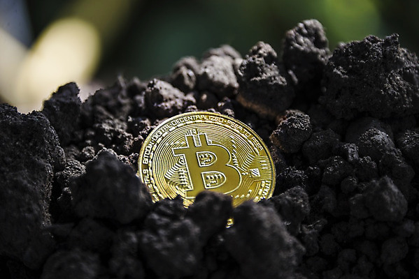 포토 JPG 해외이미지 주간 근접촬영 사람없음 야외 아웃포커스 경제 디지털 동전 흙 가상화폐 해외202004 해외202105 해외포토 자연요소 뷰포인트 돈 촬영기법 파일형식