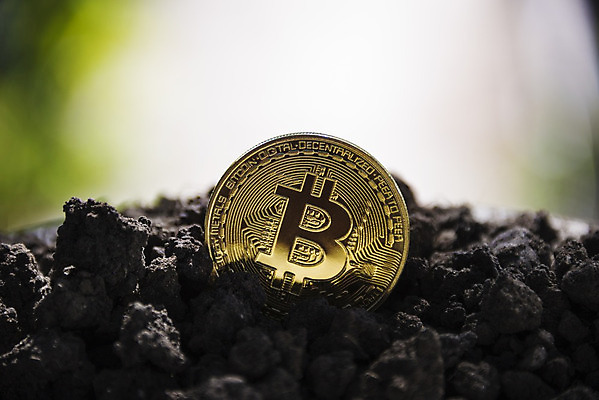 포토 JPG 해외이미지 주간 사람없음 야외 아웃포커스 경제 디지털 동전 흙 가상화폐 해외202004 해외202105 해외포토 자연요소 돈 촬영기법 파일형식