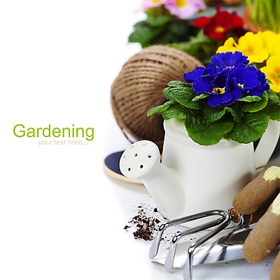 포토 JPG 해외이미지 화분 장갑 실내 사람없음 물뿌리개 모종삽 흰배경 원예 노끈 갈퀴 프리뮬러 해외202004 해외포토 잡화 꽃 줄 백그라운드 취미 내부 흰색 삽 파일형식