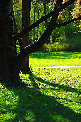 포토 JPG 해외이미지 나무 식물 공원 길 여행 잎 휴식 풍경 사람없음 야외 목재 빨간색 초록색 빛 평화 봄 산책 숲 오솔길 유기농 해외202004 해외202105 해외포토 웰빙 계절 공공시설 컬러 컨셉 재료 파일형식