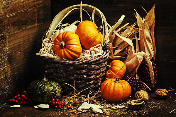 포토 JPG 해외이미지 열매 호박 실내 사람없음 농작물 바구니 가을 볏짚 호두 추수감사절 호박씨 흑찰옥수수 해외202004 해외포토 식물 계절 기독교 농업 채소 씨앗 내부 견과류 짚 찰옥수수 파일형식