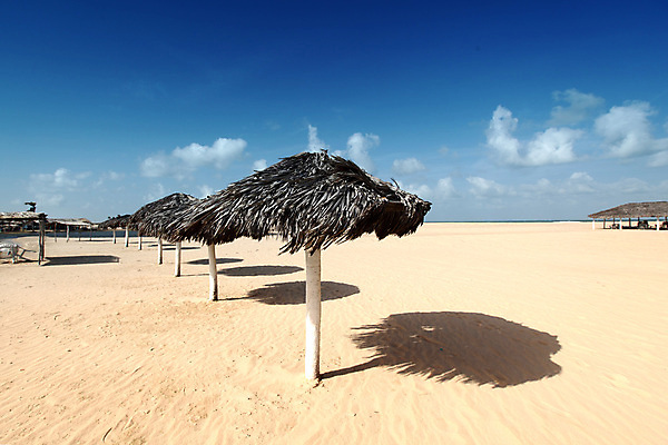 포토 JPG 해외이미지 나무 모래 여행 의자 우산 하늘 호텔 휴가 휴식 열대 따뜻함 손바닥 해변 사람없음 책 여름 파란색 모래사장 태양 쌓기 맑음 만 휴게실 그늘 읽기 휴양지 양산 북쪽 밀짚 남쪽 해외202004 해외202105 해외포토 자연요소 식물 손 계절 바다 컬러 가구 컨셉 모션 숙소 날씨 장소 짚 방향 파일형식