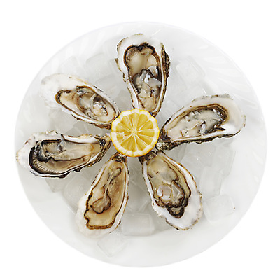 포토 JPG 해외이미지 접시 식재료 실내 사람없음 하이앵글 얼음 굴 신선 레몬 흰배경 해외202004 해외202105 해외포토 자연요소 식기 뷰포인트 백그라운드 과일 어패류 내부 흰색 파일형식