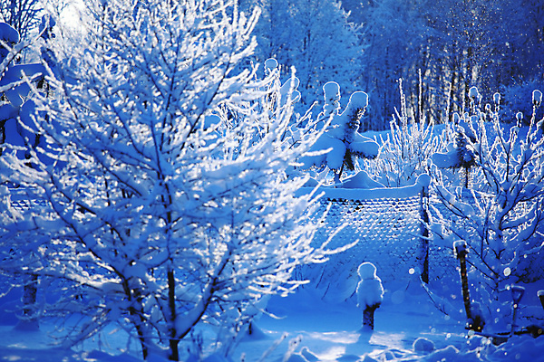 포토 JPG 해외이미지 계절 백그라운드 크리스마스 겨울 자연 휴가 산 그림자 풍경 사람없음 야외 가로 물 파란색 빛 햇빛 태양 일출 맑음 얼음 일몰 추위 덮개 흰색 숲 시원함 12월 서리 장면 1월 눈내림 해외202004 해외202105 해외포토 자연요소 기념일 컬러 날씨 눈_날씨 노을 뚜껑 날짜 생태계 파일형식