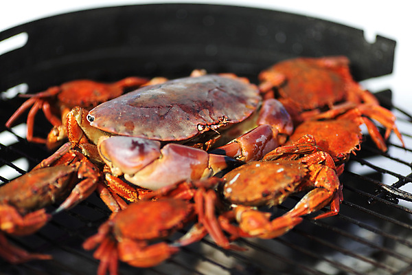 포토 JPG 해외이미지 주간 조개 사람없음 야외 아웃포커스 게 그릴 바비큐 굽기 해산물 집게발 해외202004 해외202105 해외포토 자연요소 음식 주방용품 어패류 촬영기법 갑각류 구이 파일형식