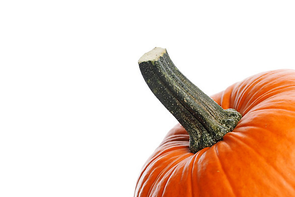 포토 JPG 해외이미지 1 계절 음식 줄기 백그라운드 컨셉 채소 과일 자연 호박 사람없음 장식 가을 흰색 신선 모서리 심볼 유기농 날것 10월 내추럴 고립 숙성 완벽 해외202004 해외202105 해외포토 식물 웰빙 컬러 날짜 생태계 파일형식