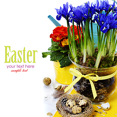 포토 JPG 해외이미지 리본 화분 부활절 실내 사람없음 물뿌리개 둥지 흰배경 원예 붓꽃 메추리알 프리뮬러 해외202004 해외포토 기념일 꽃 백그라운드 취미 내부 알 흰색 파일형식