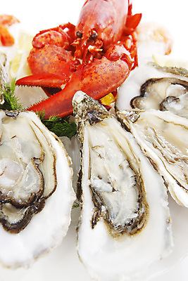 포토 JPG 해외이미지 접시 사람없음 얼음 굴 바닷가재 해산물 집게발 해외202004 해외202105 해외포토 자연요소 식기 어패류 가재 파일형식