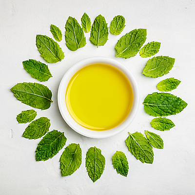 포토 JPG 해외이미지 사람없음 하이앵글 올리브오일 민트 흰배경 종지 해외202004 해외포토 그릇 뷰포인트 백그라운드 흰색 기름_음식 허브 파일형식