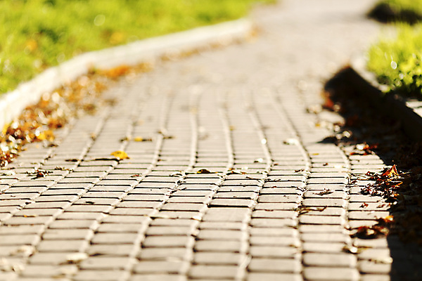 포토 JPG 해외이미지 나무 식물 계절 공원 도로 길 잎 곡선 자국 자연 안내 따뜻함 풍경 사람없음 야외 초록색 여름 빛 평화 맑음 침묵 고요 봄 산책 하이킹 성장 시골 신선 숲 오솔길 방향 지역 내추럴 방법 선로 양발 해외202004 해외202105 해외포토 공공시설 선 컬러 컨셉 교통시설 레저 날씨 휴식 소리 생태계 파일형식
