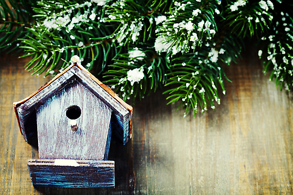 포토 JPG 해외이미지 크리스마스장식 크리스마스 사람없음 눈 새장 나무탁자 해외202004 해외포토 자연요소 기념일 탁자 날씨 케이지 파일형식
