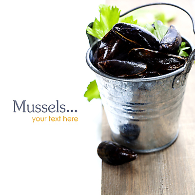 포토 JPG 해외이미지 사람없음 아웃포커스 양동이 흰배경 담기 홍합 나무도마 해외202004 해외포토 백그라운드 모션 어패류 도마 촬영기법 목재 흰색 파일형식