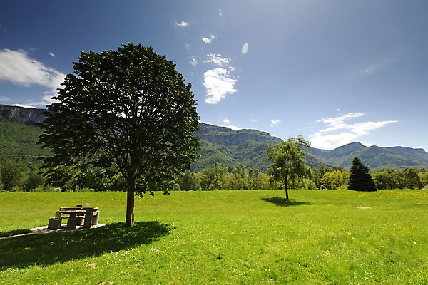 포토 JPG 해외이미지 나무 구름 꽃 유럽 여행 백그라운드 밭 자연 하늘 휴가 산 파노라마 풍경 초원 사람없음 야외 초록색 여름 파란색 농장 걷기 환경 계곡 맑음 봄 등산 하이킹 프랑스 시골 소나무 오스트리아 숲 언덕 알프스 절정 해외202004 해외202105 해외포토 자연요소 식물 계절 나라 컬러 농업 모션 레저 날씨 촬영기법 트래킹 생태계 파일형식