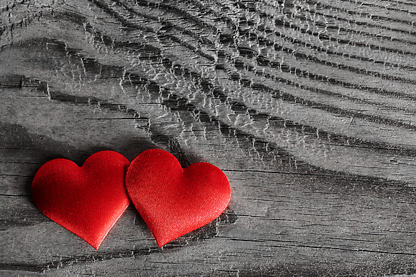 포토 JPG 해외이미지 사랑 사람없음 하트 나무배경 해외202004 해외202105 해외포토 모양 감정 백그라운드 파일형식