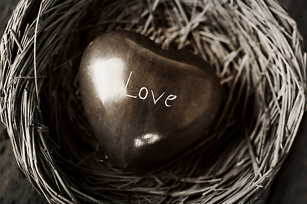 포토 JPG 해외이미지 영어 흑백 실내 사랑 사람없음 하트 둥지 오브젝트 해외202004 해외포토 모양 문자 감정 촬영기법 내부 파일형식