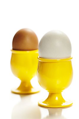 포토 JPG 해외이미지 실내 사람없음 계란 아침식사 받침대 흰배경 해외202004 해외포토 백그라운드 내부 알 식사 흰색 파일형식