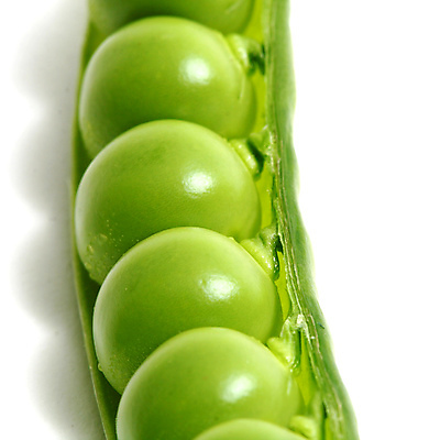 포토 JPG 해외이미지 식물 라이프스타일 음식 줄기 백그라운드 패턴 곡선 다이어트 채소 자연 건강 씨앗 사람없음 초록색 농작물 약 흰색 신선 오픈 그룹 시장 닫기 낟알 먹기 오브젝트 유기농 완두콩 날것 심플 고립 꼬투리 숙성 줄서기 해외202004 해외202105 해외포토 웰빙 선 컬러 무늬 농업 의학 모션 콩 생활 생태계 파일형식