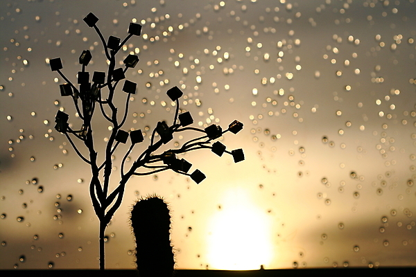 포토 JPG 해외이미지 구름 백그라운드 유리 사람없음 물 파란색 빛 스터디 컬러풀 햇빛 태양 반사 일몰 광선 물방울 닫기 이슬 빗방울 묘사 서식 땀 뇌우 샤워실 폭풍우 해외202004 해외202105 해외포토 자연요소 컬러 모션 재질 학습 노을 비_날씨 자연재해 샤워시설 파일형식