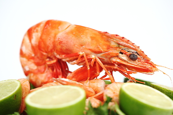 포토 JPG 해외이미지 접시 채소 새우 근접촬영 사람없음 샐러드 신선 해산물 흰배경 라임 해외202004 해외202105 해외포토 식기 음식 뷰포인트 백그라운드 과일 갑각류 흰색 파일형식