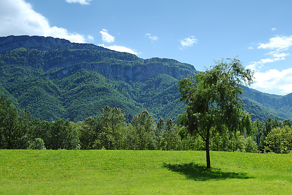 포토 JPG 해외이미지 나무 구름 꽃 유럽 여행 백그라운드 밭 자연 하늘 휴가 산 파노라마 풍경 초원 사람없음 야외 초록색 여름 파란색 농장 걷기 환경 계곡 맑음 봄 등산 하이킹 프랑스 시골 소나무 오스트리아 숲 언덕 알프스 절정 해외202004 해외202105 해외포토 자연요소 식물 계절 나라 컬러 농업 모션 레저 날씨 촬영기법 트래킹 생태계 파일형식