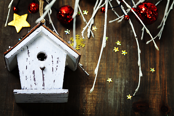 포토 JPG 해외이미지 별 크리스마스장식 크리스마스 사람없음 하이앵글 나뭇가지 새장 나무탁자 오너먼트 해외202004 해외포토 자연요소 나무 기념일 뷰포인트 탁자 케이지 파일형식