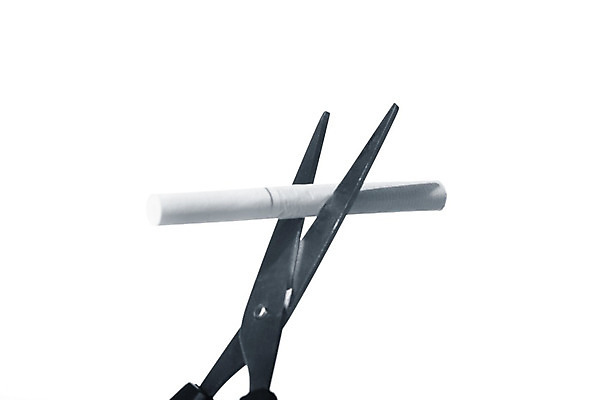 포토 JPG 해외이미지 라이프스타일 캠페인 백그라운드 담배 건강 사람없음 약 금지 흰색 죽음 잡초 연기 질병 위험 오브젝트 사인 담배꽁초 암 중독 종료 습관 고립 그만 니코틴 마약 재 해로움 흡연자 해외202004 해외202105 해외포토 식물 컬러 컨셉 의학 흡연 생활 파일형식