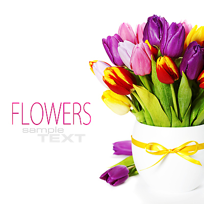 포토 JPG 해외이미지 리본 꽃다발 실내 타이포그라피 사람없음 꽃병 튤립 흰배경 카피스페이스 해외202004 해외포토 문자 꽃 백그라운드 내부 공백 흰색 파일형식