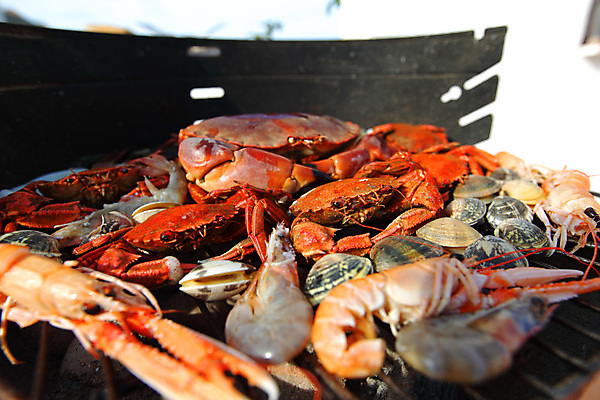 포토 JPG 해외이미지 주간 조개 새우 사람없음 야외 게 신선 그릴 바비큐 굽기 해산물 집게발 해외202004 해외202105 해외포토 자연요소 음식 주방용품 어패류 갑각류 구이 파일형식