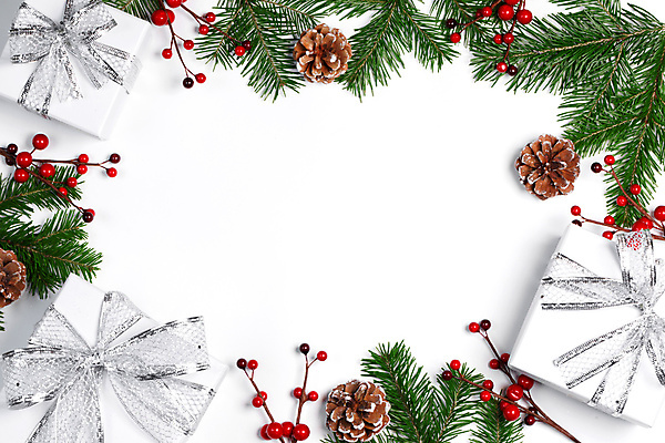 포토 JPG 해외이미지 나무 계절 열매 백그라운드 크리스마스 겨울 자연 추상 휴가 새로움 프레임 선물 사람없음 장식 빨간색 초록색 빛 상자 축제 공백 흰색 나뭇가지 소나무 신용카드 정상 연도 배열 심볼 활 엽서 초대 전나무 원뿔 내추럴 고립 눈내림 가문비나무 국경 해외202004 해외202105 해외포토 도형 식물 기념일 컬러 컨셉 무늬 눈_날씨 금융 편지 생태계 파일형식