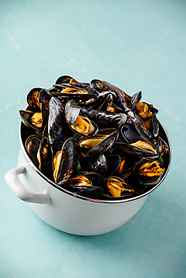 포토 JPG 해외이미지 사람없음 냄비 담기 파란배경 홍합 해외202004 해외포토 백그라운드 모션 어패류 파란색 솥 파일형식