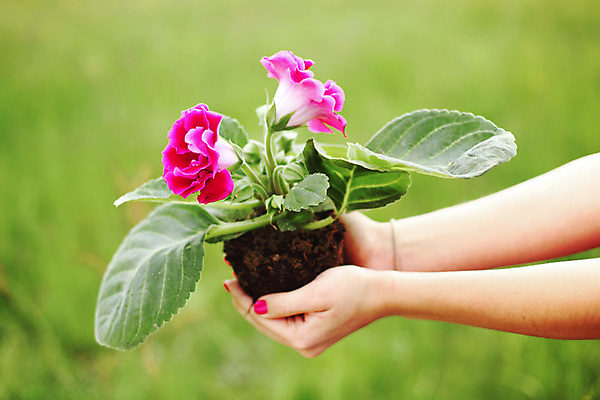 포토 JPG 해외이미지 식물 구름 1 계절 꽃 지구 백그라운드 잎 밭 농업 자연 하늘 날씨 한명 풍경 초원 목재 초록색 여름 파란색 농장 환경 정원 봄 자유 나뭇가지 전원 시골 신선 고독 큼 땅 언덕 싱글 장면 내추럴 옛날 혼자 수평선 해외202004 해외202105 해외포토 자연요소 나무 감정 산업 컬러 컨셉 재료 사람 전기에너지 크기 생태계 파일형식