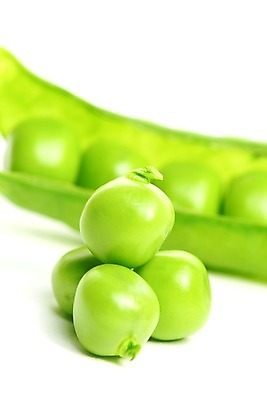 포토 JPG 해외이미지 식물 라이프스타일 음식 줄기 백그라운드 패턴 곡선 다이어트 채소 자연 건강 씨앗 사람없음 초록색 농작물 흰색 신선 오픈 그룹 시장 닫기 낟알 먹기 오브젝트 유기농 완두콩 날것 심플 고립 꼬투리 숙성 줄서기 해외202004 해외202105 해외포토 웰빙 선 컬러 무늬 농업 모션 콩 생활 생태계 파일형식