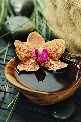 포토 JPG 해외이미지 잎 근접촬영 사람없음 물 수건 숟가락 스파 난초 스파용품 아로마테라피 난초꽃 해외202004 해외포토 자연요소 식물 꽃 뷰포인트 수저 위생용품 오브젝트 테라피 파일형식