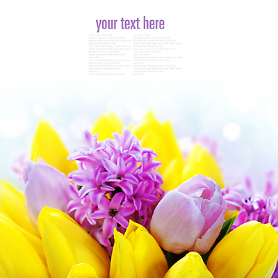 포토 JPG 해외이미지 꽃다발 봄꽃 실내 근접촬영 사람없음 튤립 빛망울 히아신스 해외202004 해외포토 꽃 뷰포인트 내부 빛 봄 파일형식