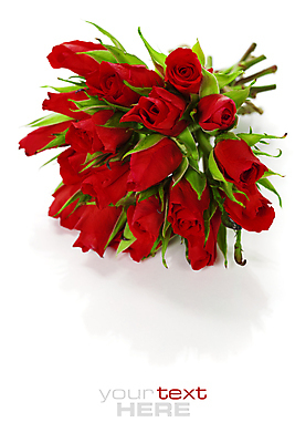 포토 JPG 해외이미지 꽃다발 실내 타이포그라피 사람없음 장미 흰배경 카피스페이스 해외202004 해외포토 문자 꽃 백그라운드 내부 공백 흰색 파일형식