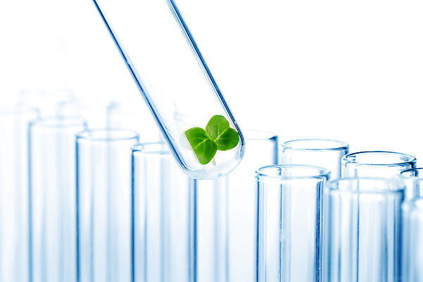 포토 JPG 해외이미지 식물 음식 과학 잎 농업 자연 유리 실험 사람없음 약 새싹 환경 성장 흰색 실험실 DNA 생명공학 에코 미생물 튜브 공학 개발 모종 생태학 유전 유전자변형 해외202004 해외202105 해외포토 교육 산업 컬러 의학 재질 생물 생태계 파일형식