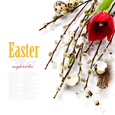 포토 JPG 해외이미지 부활절 타이포그라피 사람없음 튤립 나뭇가지 버드나무 깃털 흰배경 메추리알 카피스페이스 해외202004 해외포토 나무 문자 기념일 꽃 백그라운드 알 공백 흰색 파일형식