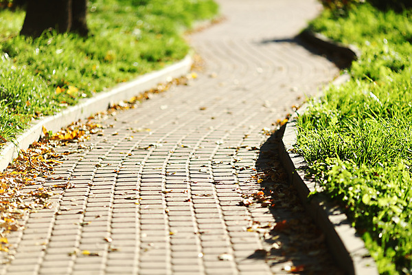 포토 JPG 해외이미지 나무 식물 계절 공원 도로 길 잎 곡선 자국 자연 안내 따뜻함 풍경 사람없음 야외 초록색 여름 빛 평화 환경 맑음 침묵 고요 봄 산책 하이킹 성장 시골 신선 숲 오솔길 방향 지역 내추럴 방법 선로 양발 해외202004 해외202105 해외포토 공공시설 선 컬러 컨셉 교통시설 레저 날씨 휴식 소리 생태계 파일형식