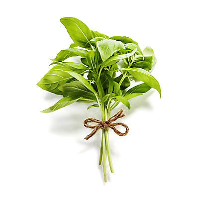 포토 JPG 해외이미지 채소 실내 사람없음 다발 흰배경 채식 바질 해외202004 해외포토 백그라운드 내부 흰색 파일형식