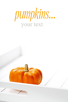 포토 JPG 해외이미지 호박 쟁반 실내 타이포그라피 사람없음 농작물 한개 가을 흰배경 카피스페이스 해외202004 해외포토 문자 1 계절 백그라운드 농업 채소 내부 공백 흰색 파일형식