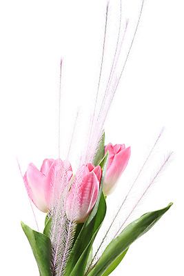 포토 JPG 해외이미지 식물 계절 꽃잎 꽃 리본 줄기 분홍색 꽃다발 백그라운드 잎 꽃무늬 자연 휴가 부활절 3 선물 이벤트 사람없음 장식 빨간색 초록색 파란색 컬러풀 노란색 봄 튤립 벚꽃 흰색 축하 신선 개화 4월 다발 심볼 내추럴 고립 해외202004 해외202105 해외포토 기념일 컬러 컨셉 무늬 날짜 생태계 파일형식