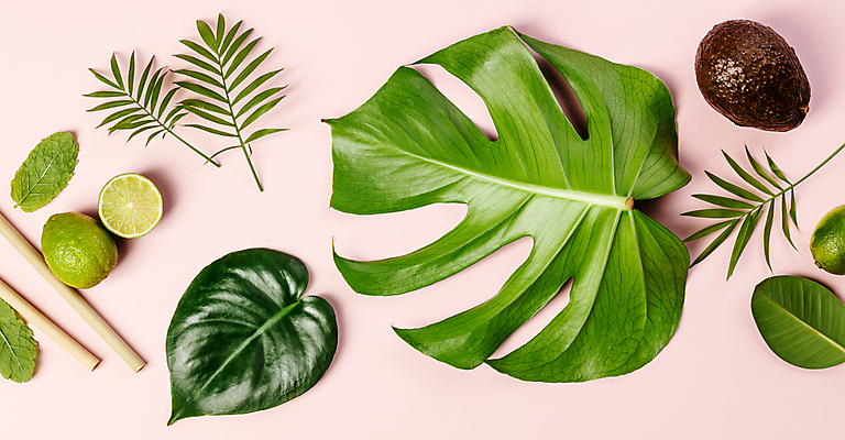 포토 JPG 해외이미지 사람없음 라임 아보카도 몬스테라 열대잎 분홍색배경 해외202004 해외포토 식물 분홍색 백그라운드 잎 과일 파일형식