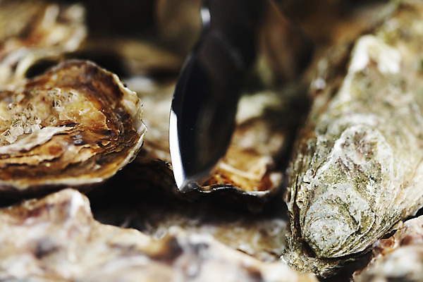 포토 JPG 해외이미지 식재료 실내 근접촬영 사람없음 아웃포커스 굴 신선 칼 해외202004 해외202105 해외포토 뷰포인트 어패류 촬영기법 내부 파일형식