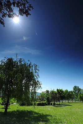 포토 JPG 해외이미지 나무 구름 라이프스타일 계절 공원 스포츠 백그라운드 밭 골프 자연 놀이 하늘 풍경 잔디 초원 사람없음 야외 초록색 여름 파란색 운동 햇빛 태양 3D 환경 맑음 힘 봄 장비 운전 자유 게임 신선 강의 묘사 클럽 싱글 내추럴 페어웨이 스타일 해외202004 해외202105 해외포토 자연요소 식물 공공시설 컬러 컨셉 농업 모션 날씨 건강 생활 구기 디지털합성 생태계 파일형식