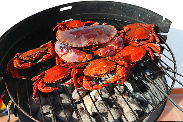 포토 JPG 해외이미지 주간 사람없음 야외 게 신선 그릴 바비큐 굽기 해산물 집게발 해외202004 해외202105 해외포토 자연요소 음식 주방용품 갑각류 구이 파일형식