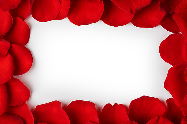 포토 JPG 해외이미지 식물 배너 기념일 꽃잎 꽃 결혼 백그라운드 컨셉 기념 프레임 발렌타인데이 사랑 사람없음 빨간색 장미 활발 낭만 축하 생일 달콤 배열 부드러움 내추럴 카피스페이스 국경 해외202004 해외202105 해외포토 감정 컬러 데이이벤트 이벤트 공백 감각 맛 파일형식