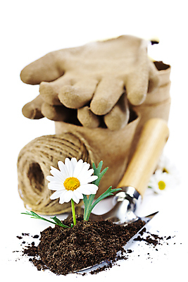 포토 JPG 해외이미지 꽃 화분 장갑 사람없음 흙 모종삽 흰배경 원예 노끈 원예용품 해외202004 해외포토 식물 잡화 줄 생활용품 백그라운드 취미 흰색 삽 파일형식