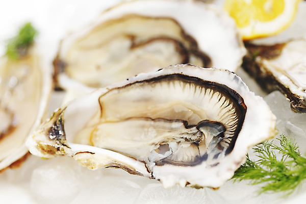 포토 JPG 해외이미지 식재료 실내 근접촬영 사람없음 아웃포커스 얼음 굴 신선 레몬 흰배경 해외202004 해외202105 해외포토 자연요소 뷰포인트 백그라운드 과일 어패류 촬영기법 내부 흰색 파일형식